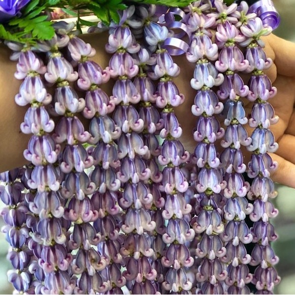 257A. Pua Kalaunu & Edison Pearl Bracelet Made in Maui - Picture 5 of 12